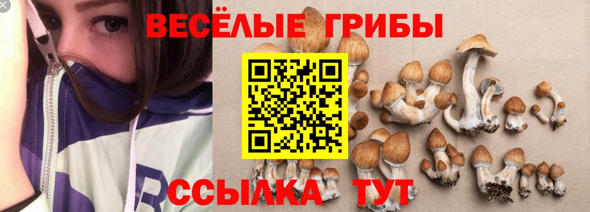 Верхний Уфалей  Псилоцибиновые грибы Psilocybe  купить наркотики сайты  Вход с VPN 